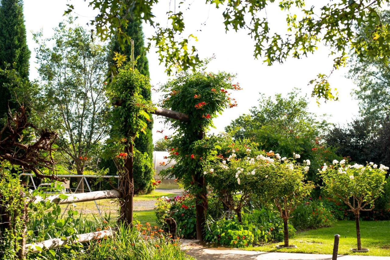Wetlands Country House & Sheds Wakkerstroom Экстерьер фото